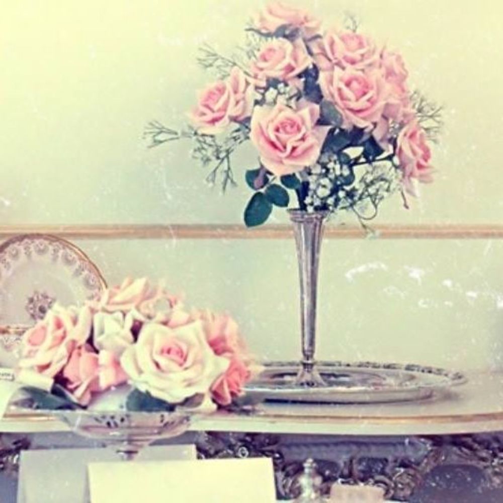 Meet your Posher, Roar